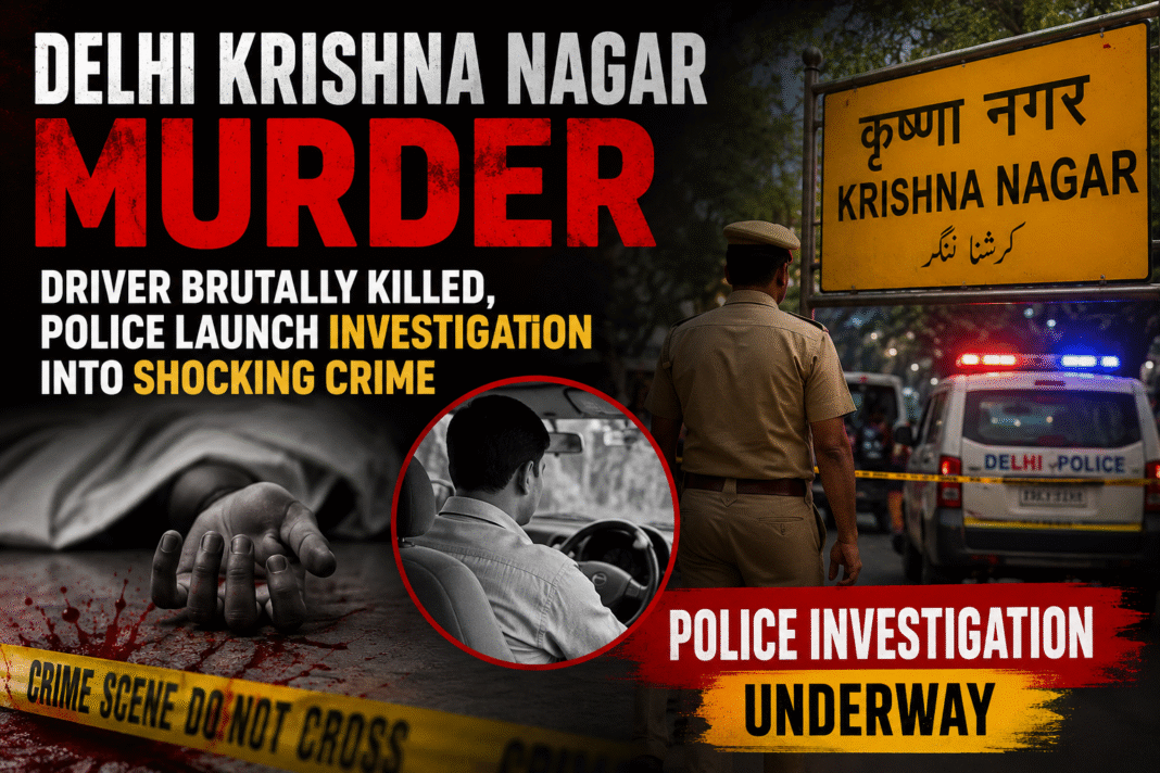 Delhi Krishna Nagar Murder Case